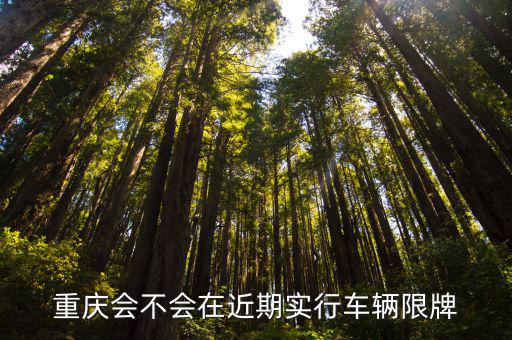 重慶會不會在近期實行車輛限牌