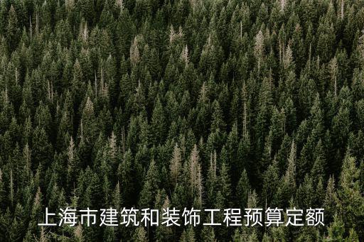 上海市裝飾工程預算定額，上海市建筑和裝飾工程預算定額
