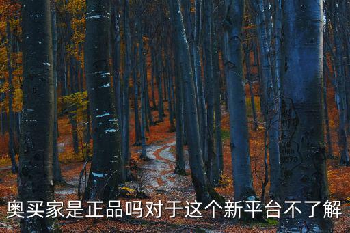 廣州奧買家汽車，奧買家是正品嗎對(duì)于這個(gè)新平臺(tái)不了解