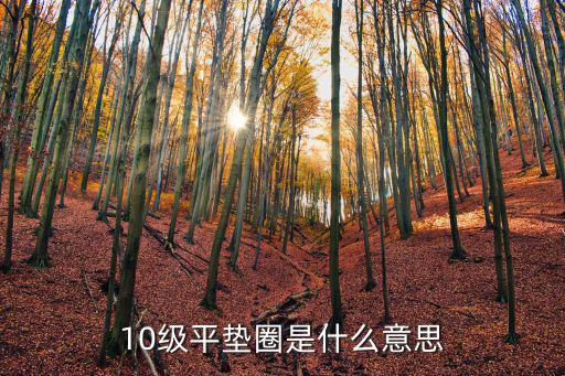 深圳市聯思精密機器有限公司，10級平墊圈是什么意思