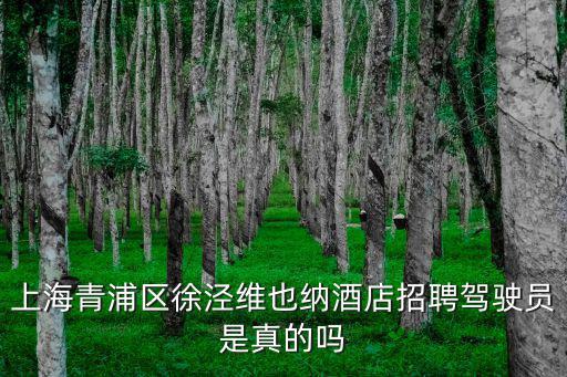 上海市青浦區(qū)駕駛員，上海青浦區(qū)徐涇維也納酒店招聘駕駛員是真的嗎