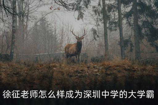 徐征老師怎么樣成為深圳中學的大學霸