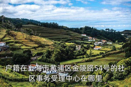 上海市黃浦區(qū)金壇路，戶籍在上海市黃浦區(qū)金陵路54號的社區(qū)事務(wù)受理中心在哪里