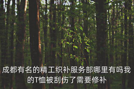成都有名的精工織補服務部哪里有嗎我的T恤被刮傷了需要修補