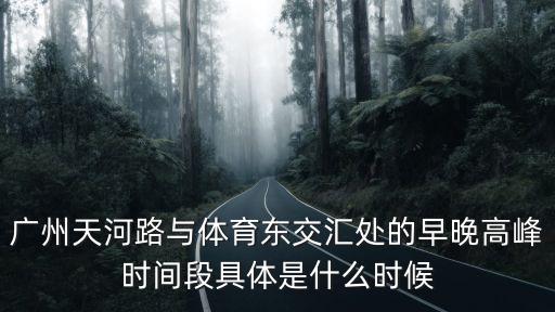 廣州 早高峰 2017年，問 5 西五環早晚高峰有拍外地車的探頭么 從阜石路上五環至京開
