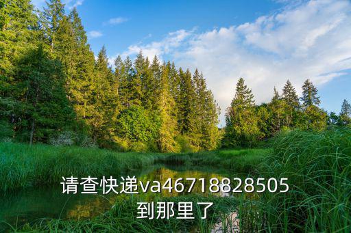 請查快遞va46718828505到那里了
