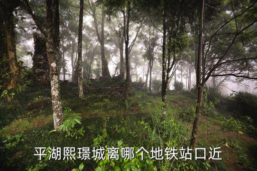 平湖熙璟城離哪個(gè)地鐵站口近