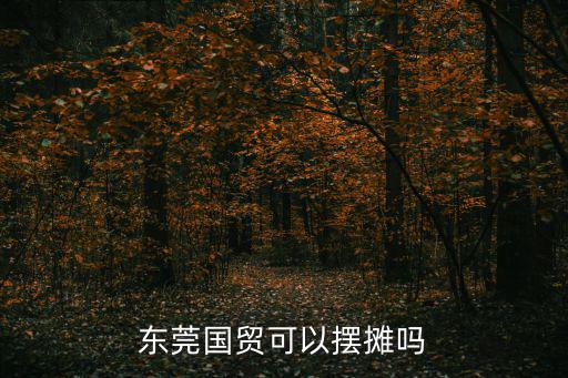 東莞國貿可以擺攤嗎