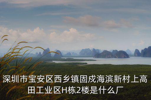 深圳市寶安區(qū)西鄉(xiāng)鎮(zhèn)固戍海濱新村上高田工業(yè)區(qū)H棟2樓是什么廠