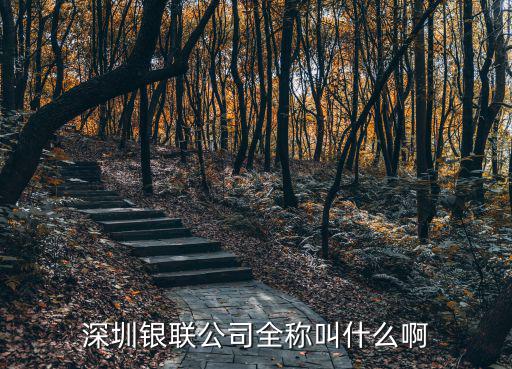 深圳銀聯公司全稱叫什么啊
