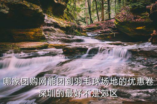 哪家團(tuán)購網(wǎng)能團(tuán)到羽毛球場地的優(yōu)惠卷深圳的最好不是郊區(qū)