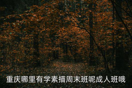 重慶哪里有學素描周末班呢成人班哦