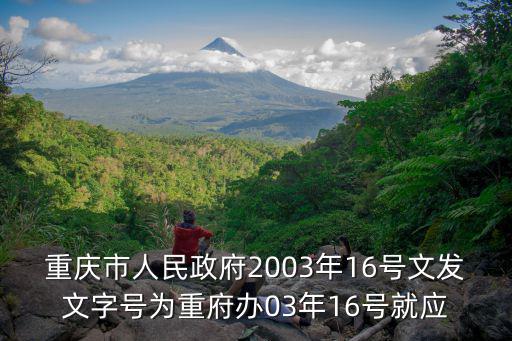 重慶市人民政府2003年16號文發(fā)文字號為重府辦03年16號就應(yīng)