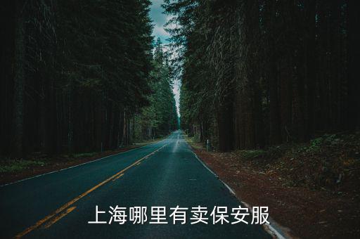 上海哪里有賣保安服
