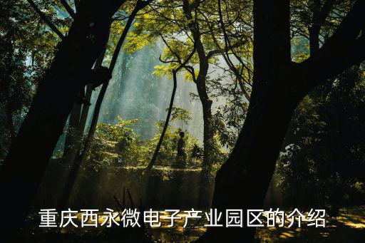 重慶西永微電子產業園區的介紹