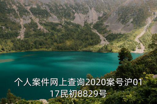 個人案件網(wǎng)上查詢2020案號滬0117民初8829號