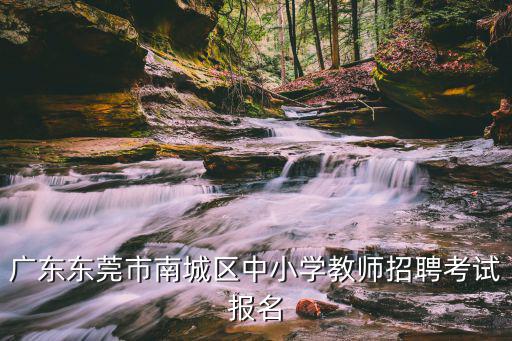 東莞教師校園招聘，我在東莞教師招聘網注冊 但忘了密碼 怎么辦