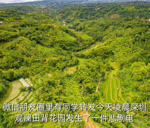 微信朋友圈里有同學轉發今天凌晨深圳觀瀾田背花園發生了一件悲劇電