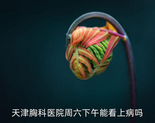 天津胸科醫(yī)院周六下午能看上病嗎