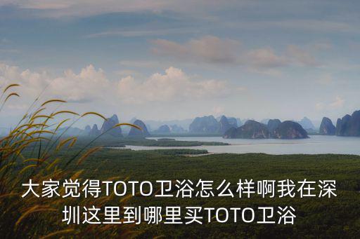 大家覺(jué)得TOTO衛(wèi)浴怎么樣啊我在深圳這里到哪里買(mǎi)TOTO衛(wèi)浴