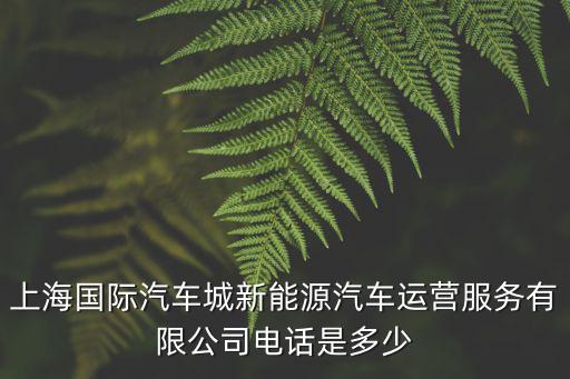 上海國際汽車城新能源汽車運營服務有限公司電話是多少