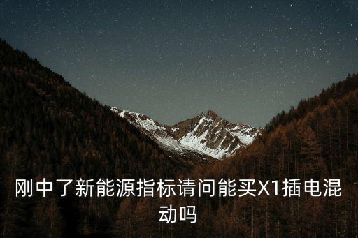 廣州 油電混合指標，網上申請駕照個人申報填表那頁的指標類型是什么意思我是C1本選