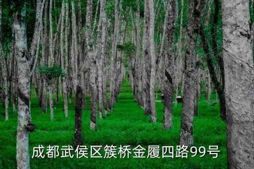 成都武侯區(qū)簇橋金履四路99號