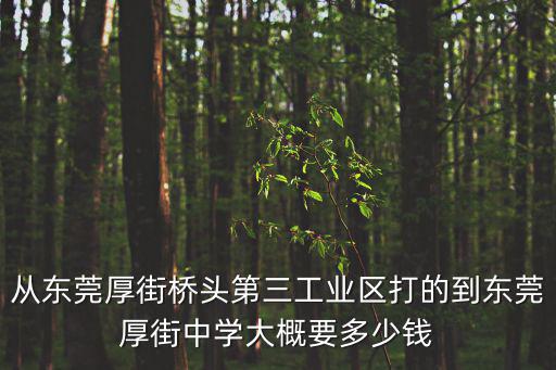 從東莞厚街橋頭第三工業區打的到東莞厚街中學大概要多少錢