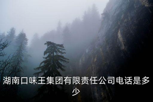 湖南口味王集團(tuán)有限責(zé)任公司電話是多少