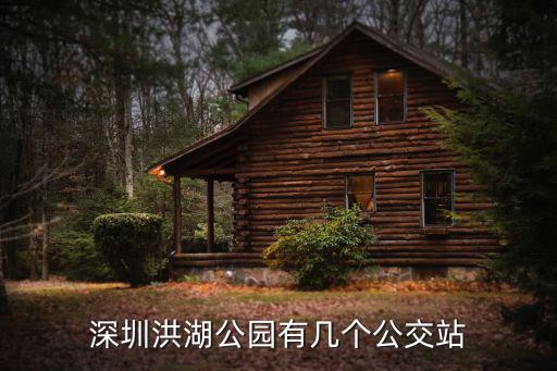 深圳洪湖公園有幾個公交站