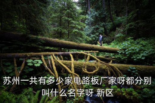 蘇州一共有多少家電路板廠家呀都分別叫什么名字呀 新區(qū)