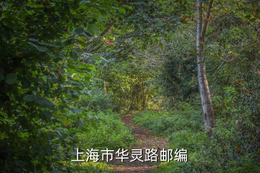 上海市華靈路1788弄 郵編，華靈路郵編是多少