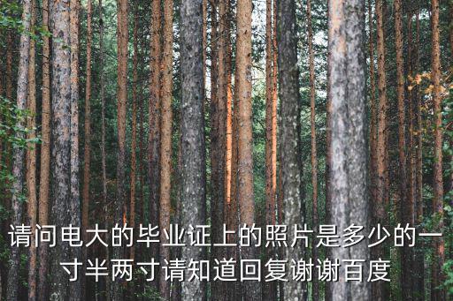 請問電大的畢業證上的照片是多少的一寸半兩寸請知道回復謝謝百度