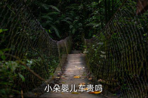 小朵嬰兒車貴嗎