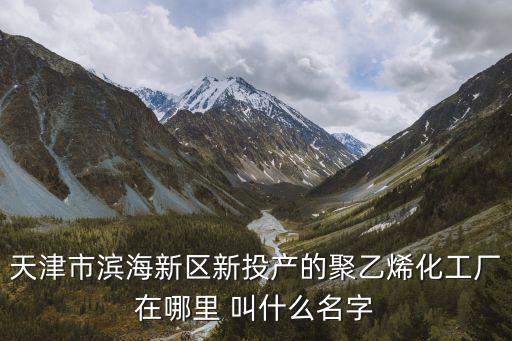 天津市濱海新區(qū)新投產(chǎn)的聚乙烯化工廠在哪里 叫什么名字