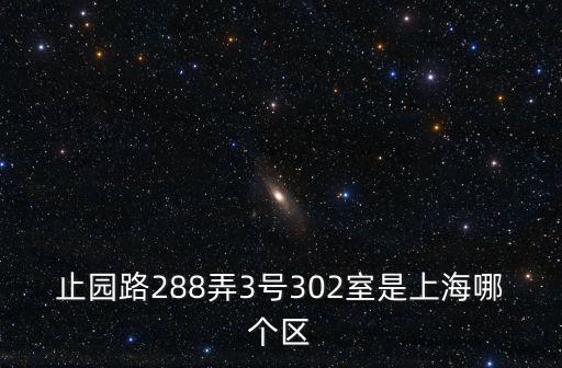 止園路288弄3號302室是上海哪個區