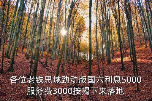 各位老鐵思域勁動版國六利息5000服務費3000按揭下來落地
