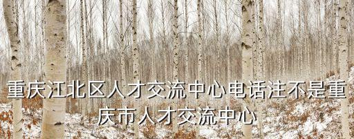 重慶市江北區(qū)人才市場交流中心，重慶江北人才市場在哪