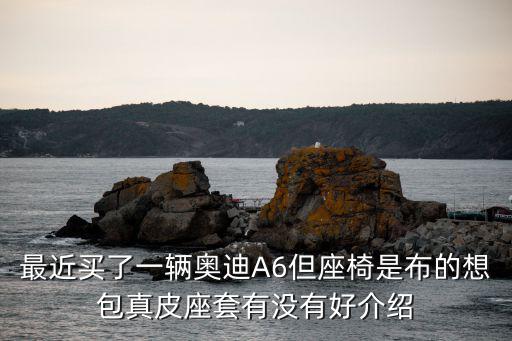 廣州a6l包真皮座椅，奧迪a6l增配真皮坐椅包括門的嗎