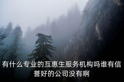 有什么專業的互惠生服務機構嗎誰有信譽好的公司沒有啊