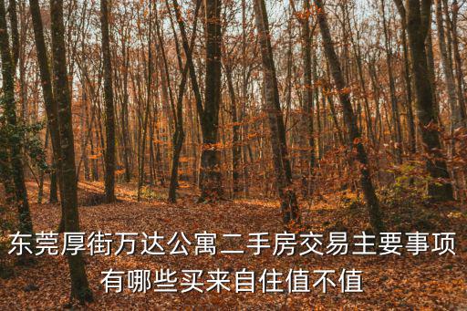 東莞厚街萬達公寓二手房交易主要事項有哪些買來自住值不值