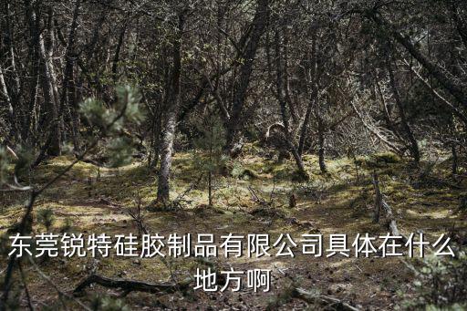 東莞銳特硅膠制品有限公司具體在什么地方啊