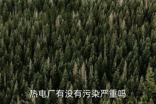 熱電廠有沒有污染嚴重嗎