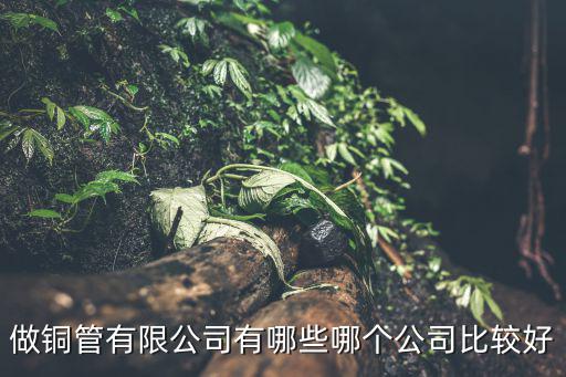 做銅管有限公司有哪些哪個公司比較好