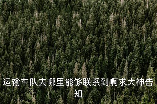 運(yùn)輸車隊(duì)去哪里能夠聯(lián)系到啊求大神告知