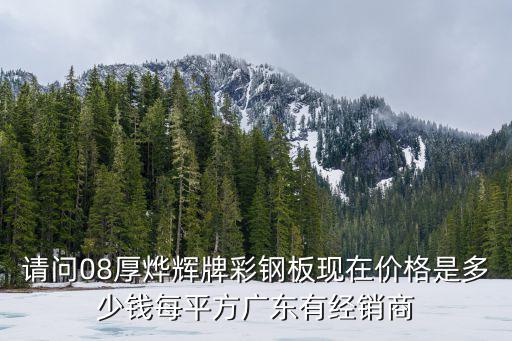 請問08厚燁輝牌彩鋼板現(xiàn)在價格是多少錢每平方廣東有經(jīng)銷商