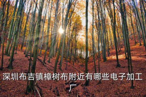 深圳布吉鎮樟樹布附近有哪些電子加工廠