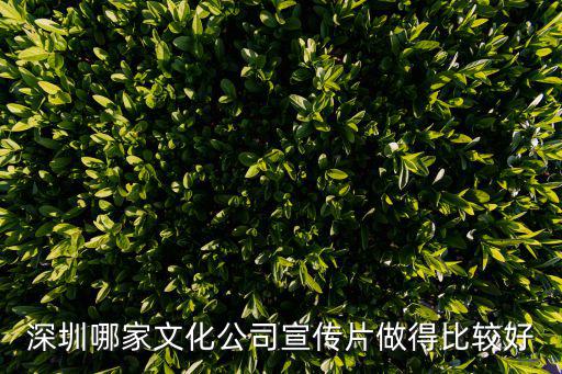 深圳哪家文化公司宣傳片做得比較好