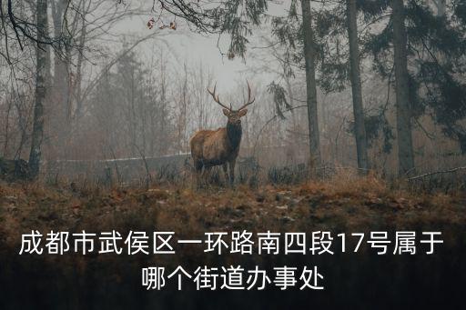 成都市武侯區一環路南四段17號屬于哪個街道辦事處