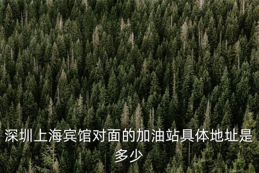 深圳上海賓館對面的加油站具體地址是多少